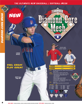 The Ultimate New Baseball / Softball Mesh