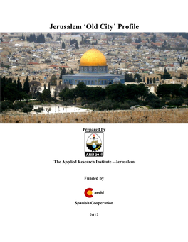 Jerusalem 'Old City' Profile