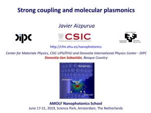 Strong Coupling and Quantum Molecular Plasmonics