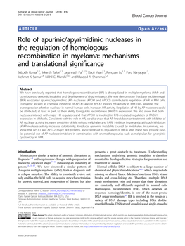 Role of Apurinic/Apyrimidinic Nucleases in the Regulation of Homologous Recombination in Myeloma: Mechanisms and Translational S