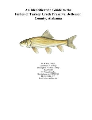 Guide to the Fish of Turkey Creek