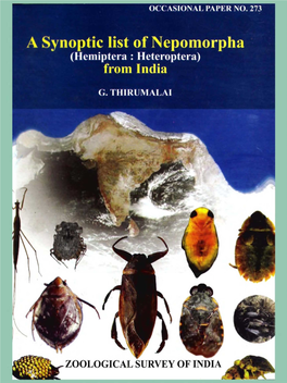 Hemiptera: Heteroptera) from India