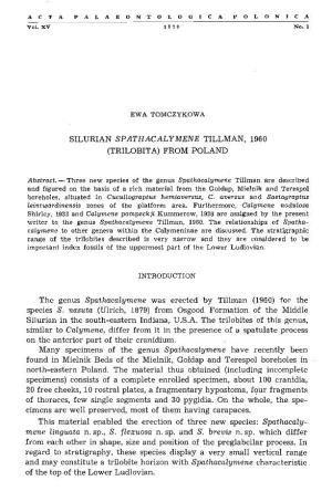 Silurian Spathacalymene Tillman, 1960 (Trilobita) from Poland