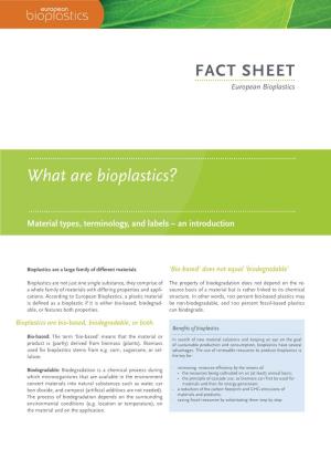 What Are Bioplastics?