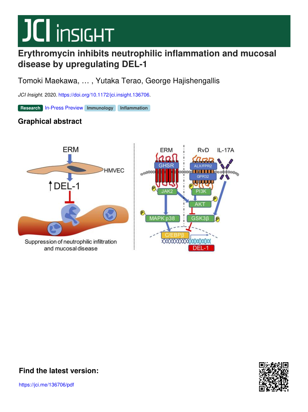 Erythromycin Inhibits Neutrophilic Inflammation and Mucosal Disease by Upregulating DEL-1