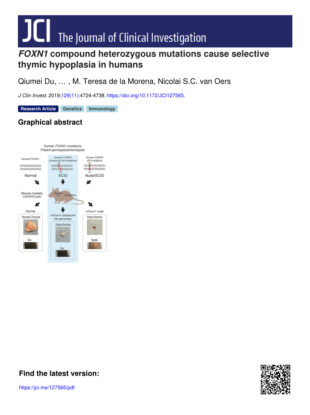 FOXN1 Compound Heterozygous Mutations Cause Selective Thymic Hypoplasia in Humans