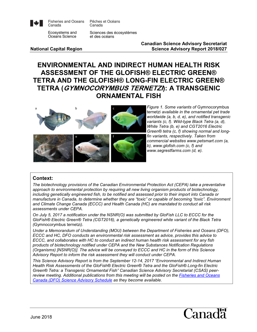 Environmental and Indirect Human Health Risk Assessment of the Glofish® Electric Green® Tetra and the Glofish® Long-Fin Elect