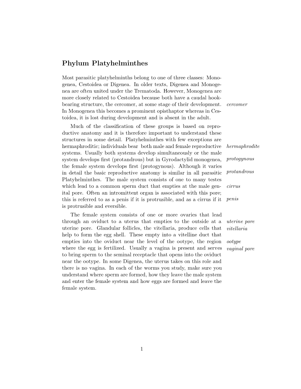 Phylum Platyhelminthes