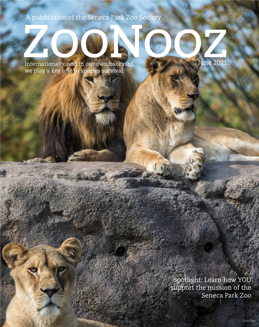 Zoonooz Article Dips Just a Toe Into How YOU Support the Mission of the Seneca Park Zoo