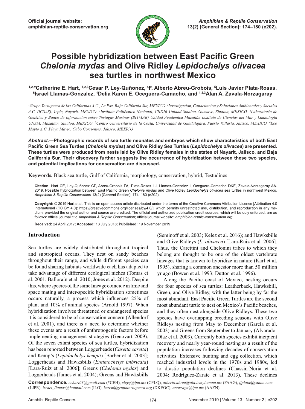 Possible Hybridization Between East Pacific Green Chelonia Mydas and Olive Ridley Lepidochelys Olivacea Sea Turtles in Northwest Mexico