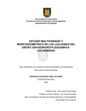 Estudio Multivariado Y Morfogeométrico De Los Liolaemus Del Grupo Gravenhorstii (Squamata: Liolaemidae)