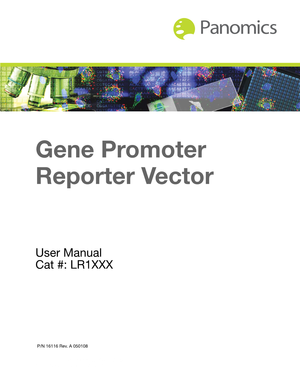 Gene Promoter Reporter Vector