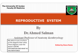 By Dr.Ahmed Salman Assistant Professorofanatomy &Embryology My Advice to You Is to Focus on the Diagrams That I Drew