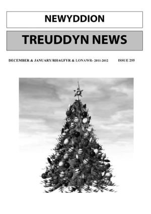 Treuddyn News