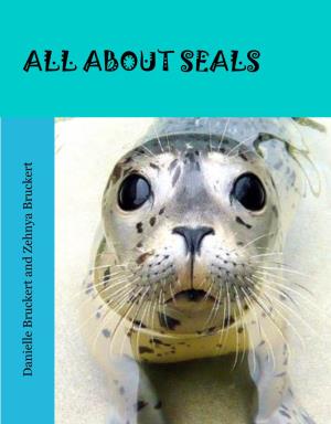 ABOUT SEALS All About Seals