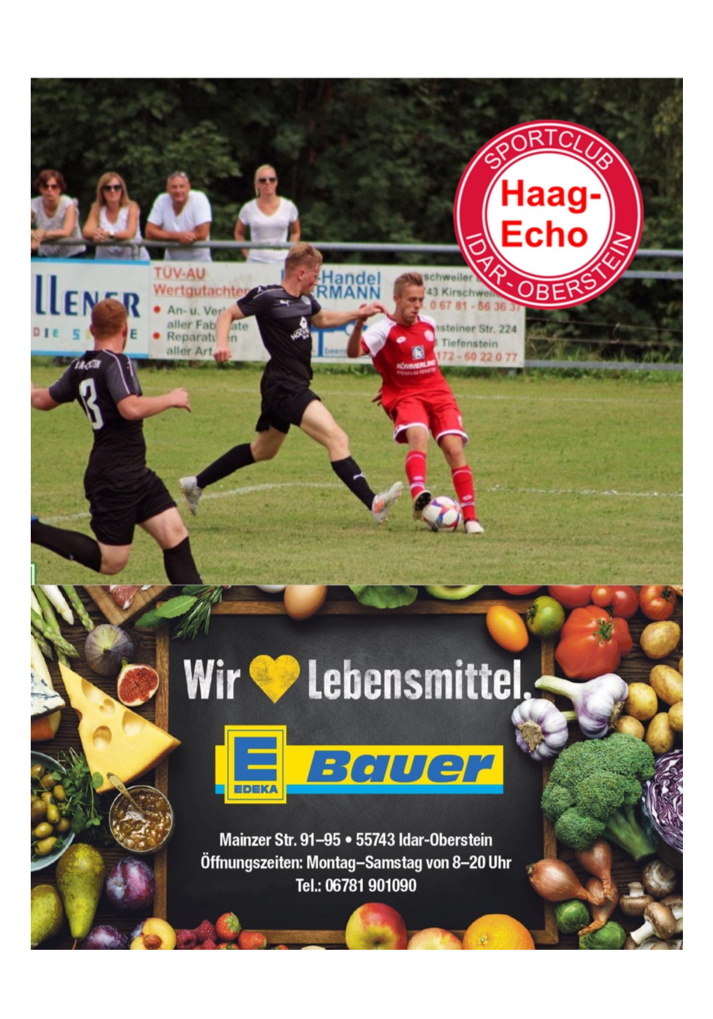 Fußball Oberliga Rheinland-Pfalz-Saar Saison 2018/ 2019