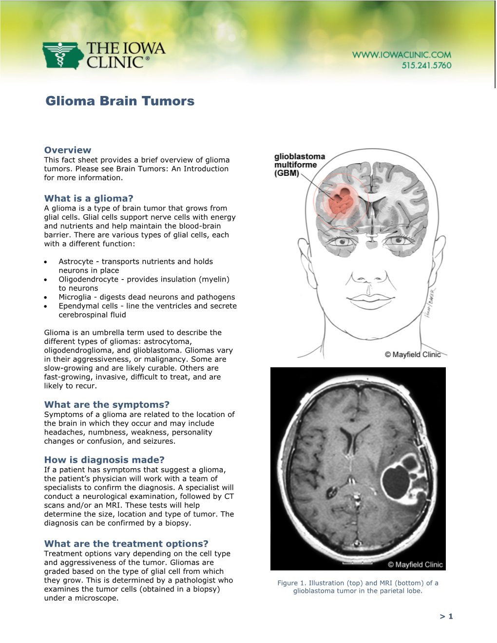 Glioma Brain Tumors