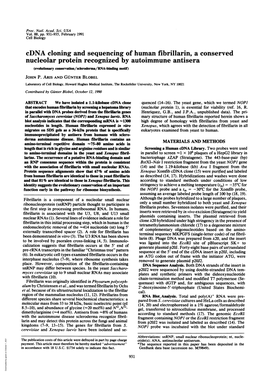 Cdna Cloning and Sequencing of Human Fibrillarin, a Conserved