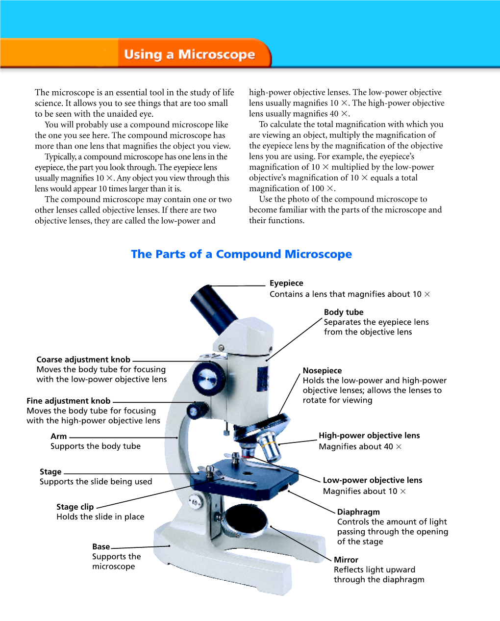 The Parts of a Compound Microscope