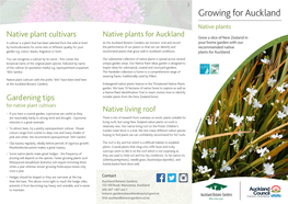 Growing for Auckland Native Plants