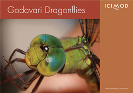 Godavari Dragonflies