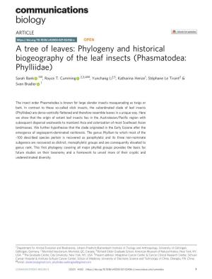 Phylogeny and Historical Biogeography of the Leaf Insects (Phasmatodea: Phylliidae) ✉ ✉ Sarah Bank 1 , Royce T