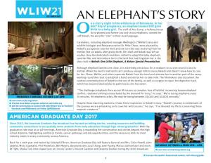 An Elephant's Story