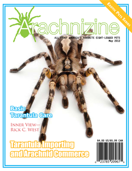 Tarantula Importing and Arachnid Commerce INNER VIEW: RICK C