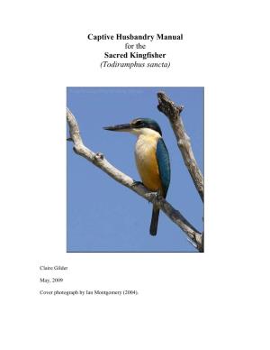 Sacred Kingfisher (Todiramphus Sancta)