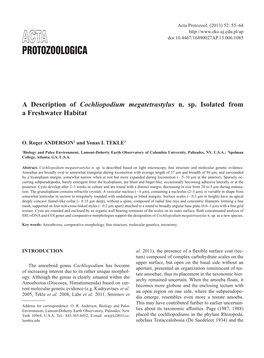 A Description of Cochliopodium Megatetrastylus N. Sp. Isolated from a Freshwater Habitat