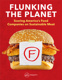 Scoring America's Food Companies on Sustainable Meat