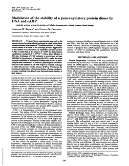 Modulation of the Stability of a Gene-Regulatory Protein Dimer By