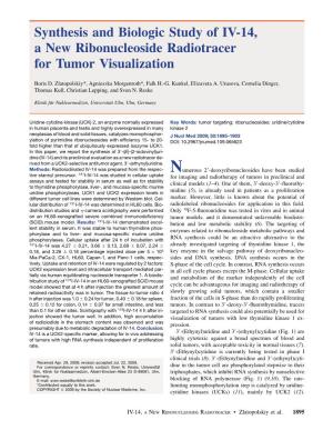 Synthesis and Biologic Study of IV-14, a New Ribonucleoside Radiotracer for Tumor Visualization