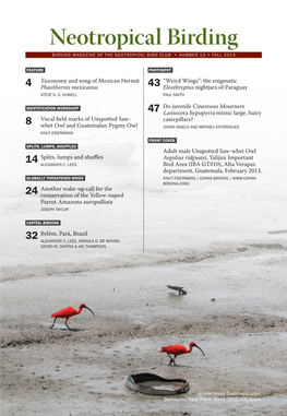 Neotropical Birding B Girdin Magazine of the Neotropical Bird Club • Number 13 • Fall 2013