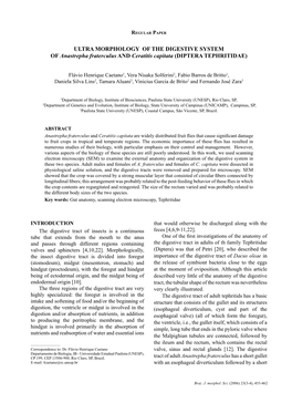 ULTRA MORPHOLOGY of the DIGESTIVE SYSTEM of Anastrepha Fraterculus and Ceratitis Capitata (DIPTERA TEPHRITIDAE)