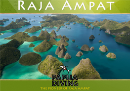 THE PIONEER of RAJA AMPAT Raja Ampat, Is a Remote Archipelago Lying Off the North-Eastern Coast of West Papua (Formerly Known As Irian Jaya)