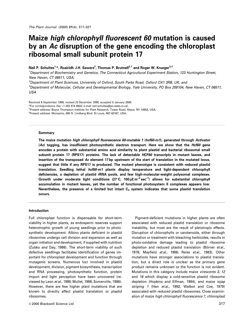 Maize High Chlorophyll ¯Uorescent 60 Mutation Is Caused by an Ac Disruption of the Gene Encoding the Chloroplast Ribosomal Small Subunit Protein 17