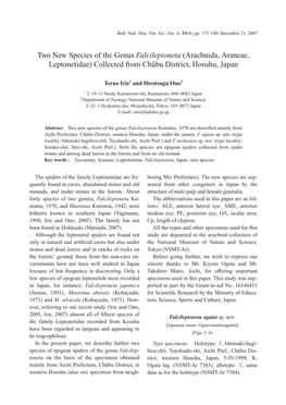 Two New Species of the Genus Falcileptoneta (Arachnida, Araneae, Leptonetidae) Collected from Chûbu District, Honshu, Japan