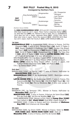 BAY FILLY Foaled May 8, 2015 Consigned by Northern Farm #Mr