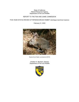 Five Year Status Report: Riparian Brush Rabbit (Sylvilagus Bachmani