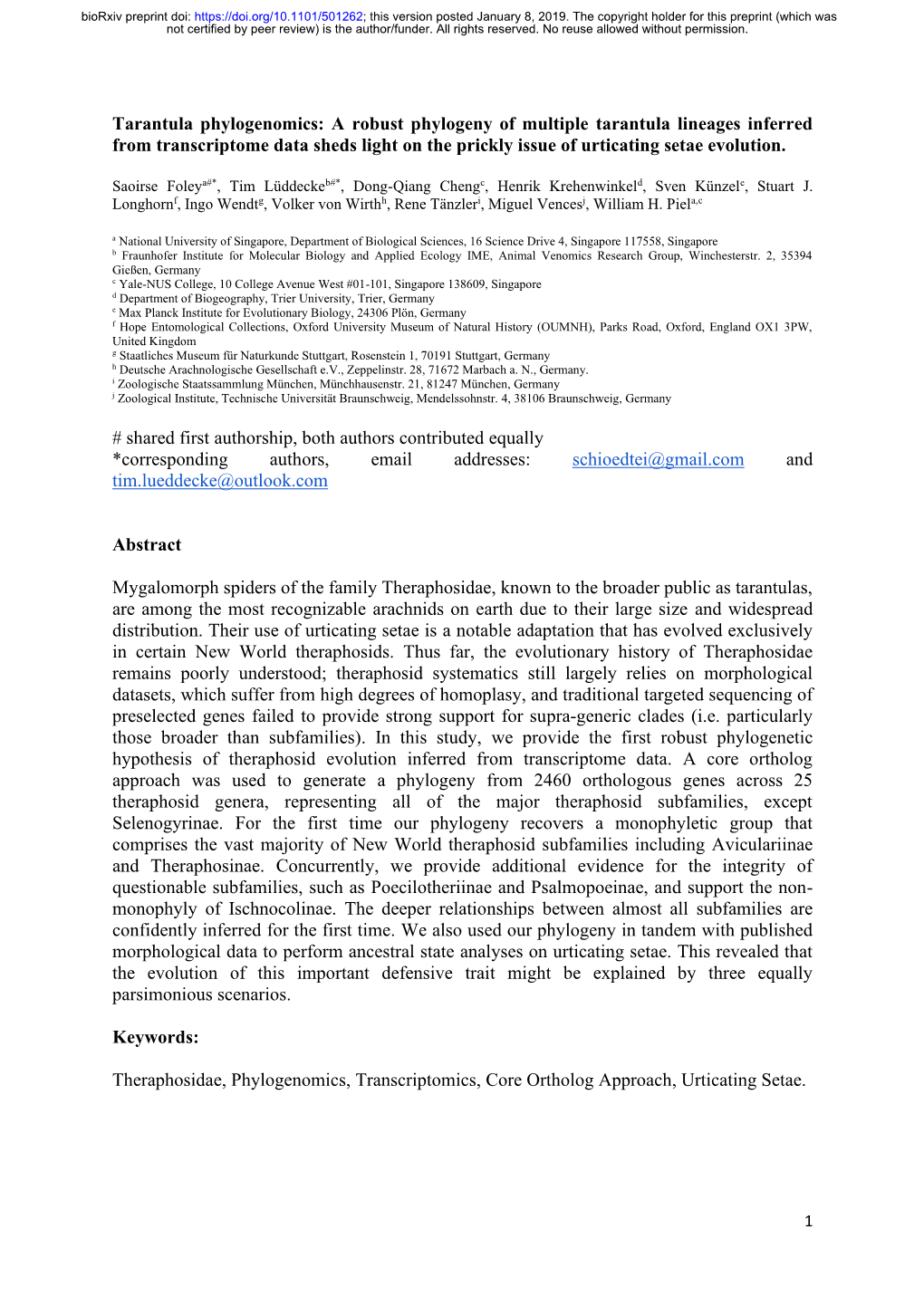 Tarantula Phylogenomics