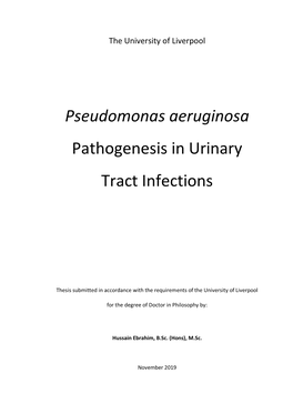 Pseudomonas Aeruginosa Pathogenesis in Urinary Tract Infections