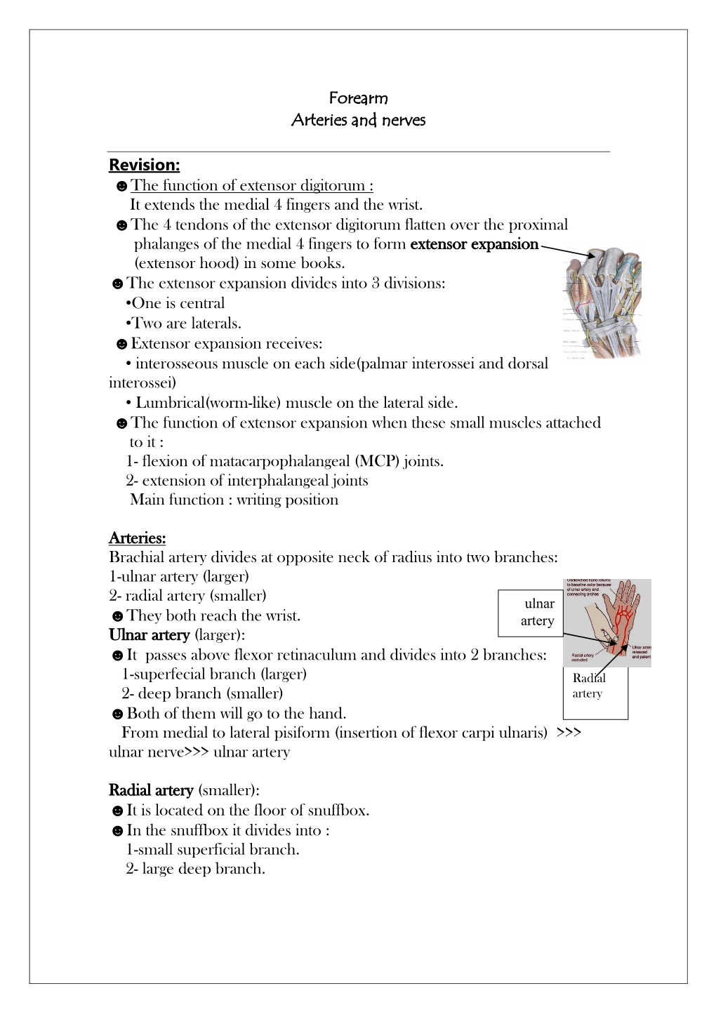 * the Function of Extensor Digitorum