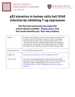 P53 Elevation in Human Cells Halt SV40 Infection by Inhibiting T-Ag Expression