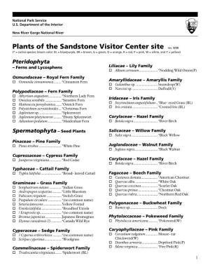 Plants of Sandstone Visitor Center