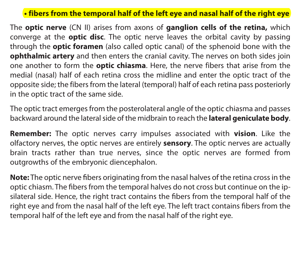 The Optic Nerve (CN II) Arises from Axons of Ganglion Cells of the Retina, Which Converge at the Optic Disc