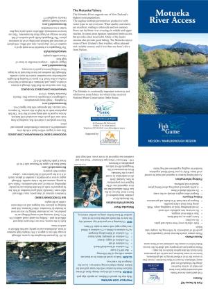 Motueka River Access Points 1