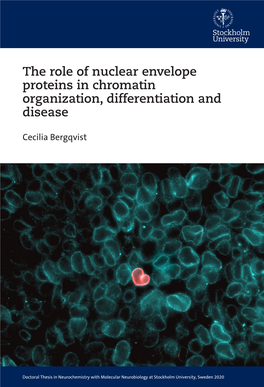 The Role of Nuclear Envelope Proteins in Chromatin Organization, Differentiation and Disease Distinct Degenerative Disorders, Referred to As Laminopathies