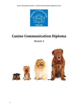 Canine Communication Diploma Course