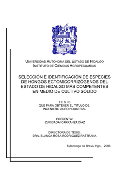 Selección E Identificación De Especies De Hongos Ectomicorrizógenos Del Estado De Hidalgo Más Competentes En Medio De Cultivo Sólido